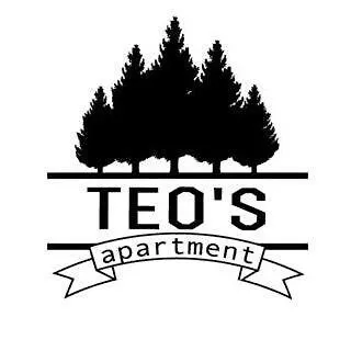 Teo's Studio