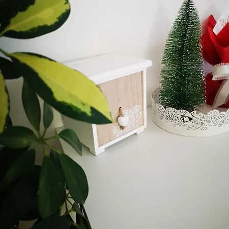 Teo's Studio Брашов